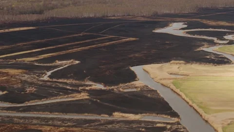 Aerial drone view of burned ground after big fire in Polish National Park Stock Footage 202050546