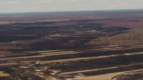 Aerial drone view of burned ground after big fire in Polish National Park Stock Footage 202050625
