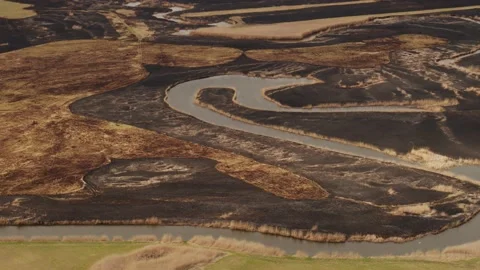 Aerial drone view of burned ground after big fire in Polish National Park Stock Footage 202050629