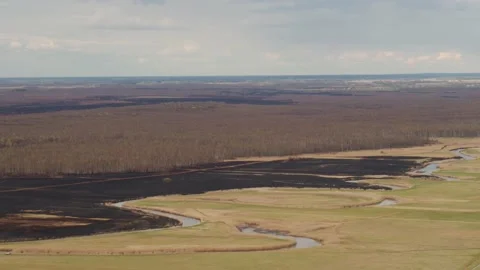 Aerial drone view of burned ground after big fire in Polish National Park Stock Footage 202050663