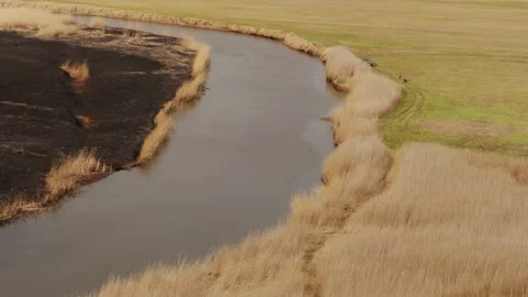 Aerial drone view of burned ground after big fire in Polish National Park Stock Footage 202050670