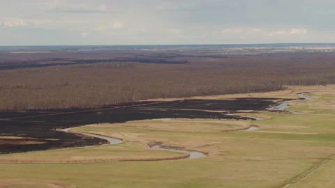 Aerial drone view of burned ground after big fire in Polish National Park Stock Footage 202050700