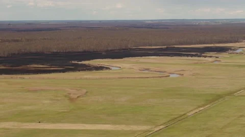 Aerial drone view of burned ground after big fire in Polish National Park Stock Footage 202050730