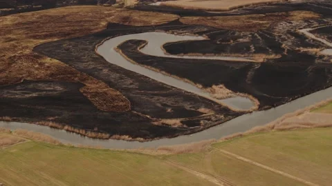 Aerial drone view of burned ground after big fire in Polish National Park Stock Footage 202050742