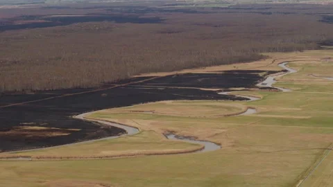 Aerial drone view of burned ground after big fire in Polish National Park Stock Footage 202050752