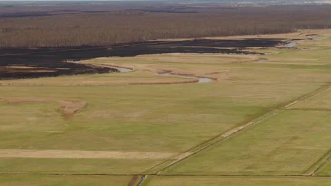 Aerial drone view of burned ground after big fire in Polish National Park Stock Footage 202050790