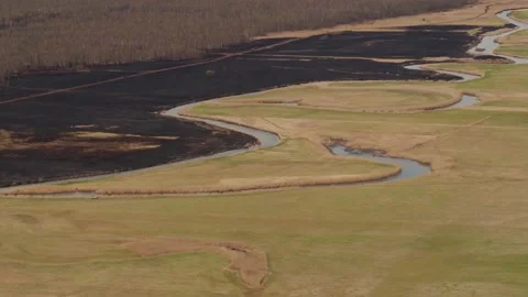 Aerial drone view of burned ground after big fire in Polish National Park Stock Footage 202050800