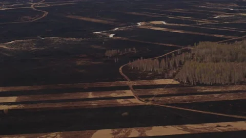 Aerial drone view of burned ground after big fire in Polish National Park Stock Footage 202050804