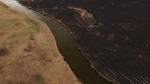 Aerial drone view of burned ground after big fire in Polish National Park Stock Footage 202070693