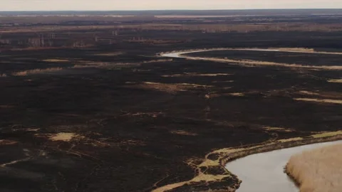 Aerial drone view of burned ground after big fire in Polish National Park Stock Footage 202070694