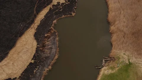 Aerial drone view of burned ground after big fire in Polish National Park Stock Footage 202070707