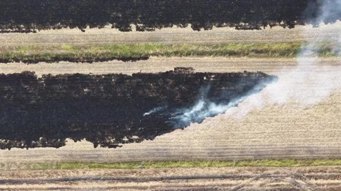Aerial drone view of burning straw paddy field smoke emissions Stock-Footage 332593996