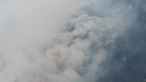 Aerial drone view of burning straw paddy field with smoke pollution gas Vidéo 332604374