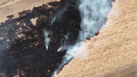 Aerial drone view of burning straw paddy field smoke pollution 库存影片 337727775