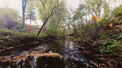 Aerial Drone View of Calm River Flowing through Autumn Forest Stock Footage 319056093