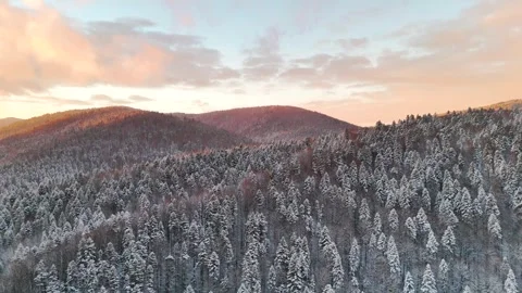 Aerial drone view of calm winter landscape with hills and pine trees Stock Footage 296470446