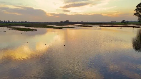 Aerial drone view capturing golden reflections on wetland waters. Stock Footage 310936028