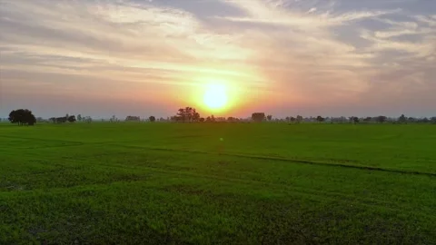 Aerial drone view capturing golden hour glow on wide open fields. Stock Footage 310937022