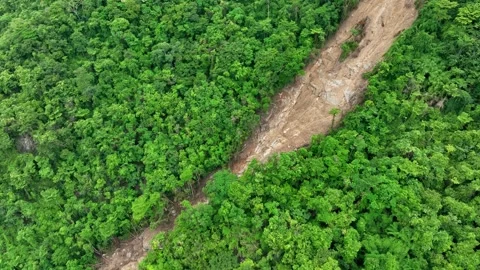 Aerial drone view capturing a large landslide. Stock Footage 311499413