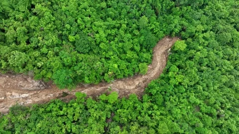 Aerial drone view capturing a large landslide. Stock Footage 311499432