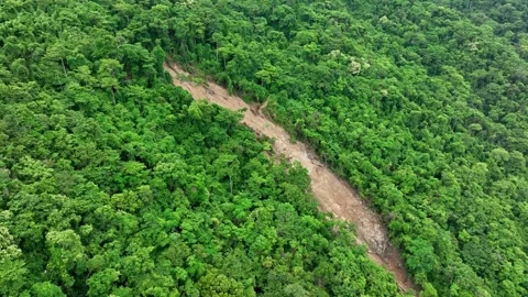 Aerial drone view capturing a large landslide. Stock Footage 311499505