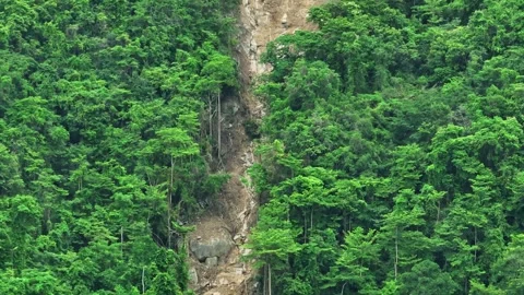 Aerial drone view capturing a large landslide. Stock Footage 311499517