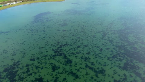 An aerial drone view capturing a vast expanse of clear turquoise water Video stock 335792863