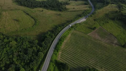 Aerial Drone View Car Driving on Curvy Mountain asphalt Road in summer Stock Footage 244493482