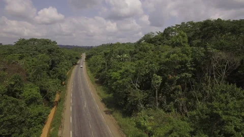 Aerial Drone View Of A Car Driving On A Road, Through The Forest Stock Footage 255719317