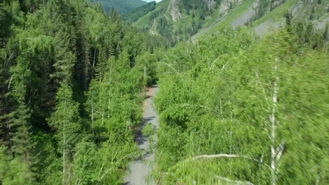 Aerial drone view of car driving along forest road running parallel to mountain Stockbeeldmateriaal 333990859