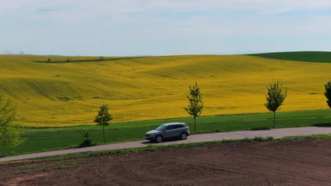 Aerial drone view of car driving on expansive green and yellow rapeseed farmland Vídeos de archivo 336618441