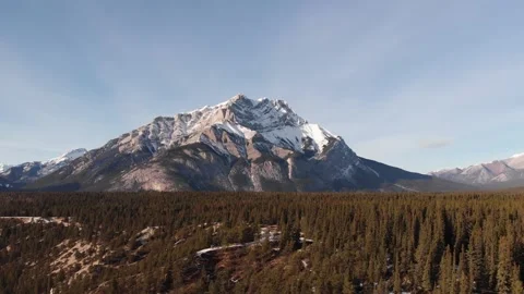 Aerial drone view of Cascade Mountain above pine forest, Banff National Park 스톡 동영상 330950843