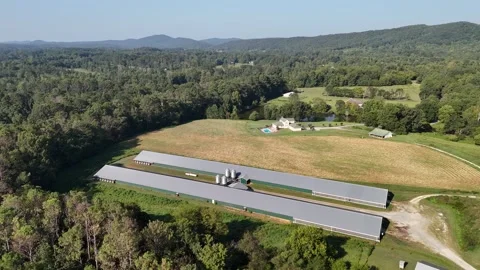 Aerial Drone View Chicken Farm Poultry Houses Rural North Georgia Mountains Stock Footage 334337156