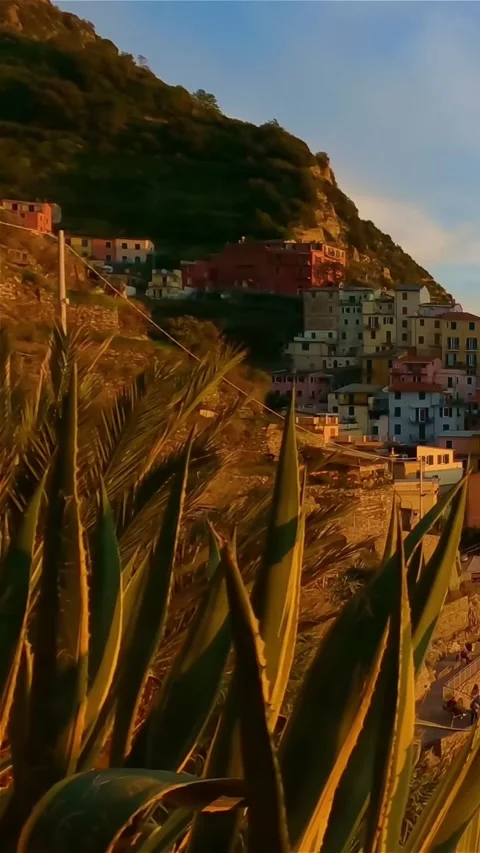 Aerial drone view of Cinque Terre Italy coastal villages and scenic landscapes. Vídeos de archivo 335018893
