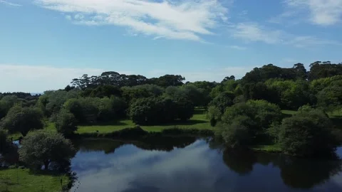 Aerial Drone View - Circle and Orbit - Urban Park with Green Vegetation and T Stock Footage 153167928