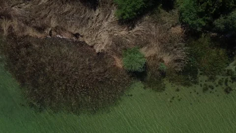 Aerial Drone View Cliff and Forest Lake Constance Arbon Switzerland 4K Stock Footage 242718935