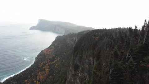 Aerial drone view of cliffs and misty Cap Gaspé, Forillon National Park Stock Footage 330950827
