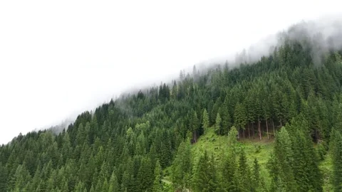 Aerial drone view of clouds rolling down a rugged mountain slope Stock Footage 322045408