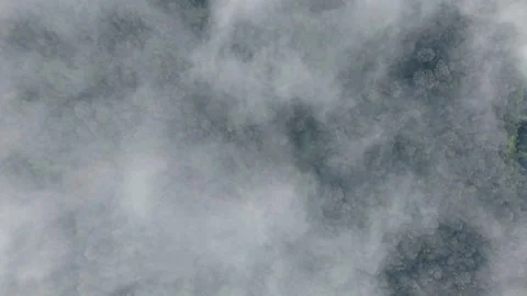 Aerial drone view of cloudy tropical forest canopy 库存影片 337545347
