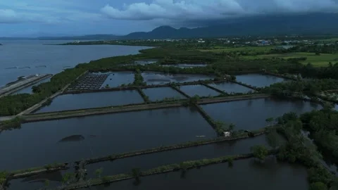 Aerial drone view of coastal fish ponds and mangrove wetlands, Philippines. Stock Footage 337737151