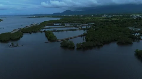 Aerial drone view of coastal mangrove fish ponds and wetlands. Stock Footage 337304553