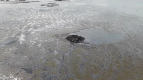 Aerial drone view of coastal mud flats and pools Stock Footage 337536123