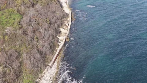 Aerial drone view of coastline cliffs forest and blue sea Stock Footage 321331562