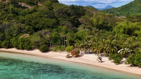 Aerial drone view of Coco Beach, with its golden sands and crystal-clear waters. Stock Footage 295914002