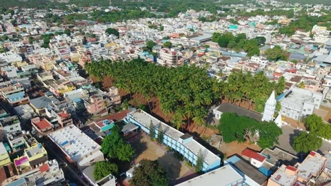 Aerial Drone View of Coconut Palm Grove Amid Urban Cityscape and Colorful Stock Footage 340154293