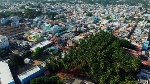 Aerial Drone View of Coconut Palm Grove Amid Urban Cityscape and Colorful Stock Footage 340154301