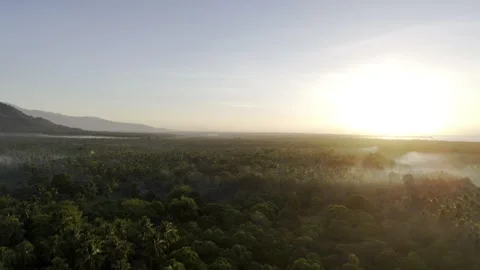 Aerial drone view of Coconut plantations of Southern Palawan glowing in warm Video stock 342808088