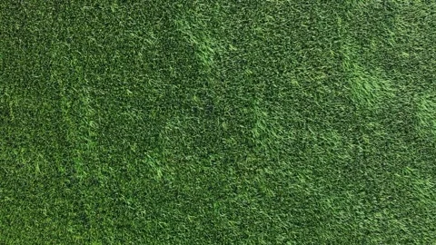Aerial drone view of coconut tree shadow on paddy field Stock Footage 337542362