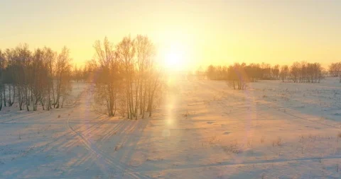 Aerial drone view of cold winter landscape with arctic field, trees covered with Stock Footage 119885979