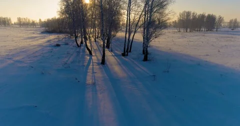 Aerial drone view of cold winter landscape with arctic field, trees covered with Stock Footage 119886014